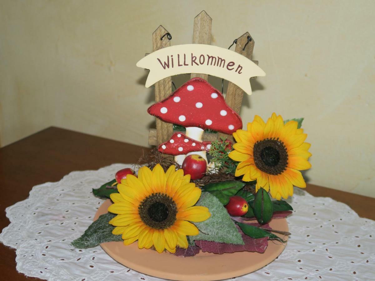 Ferienhaus Sonne, Harz Und Sterne Hohegeiss Exterior photo